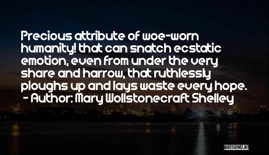 Mary From Precious Quotes By Mary Wollstonecraft Shelley