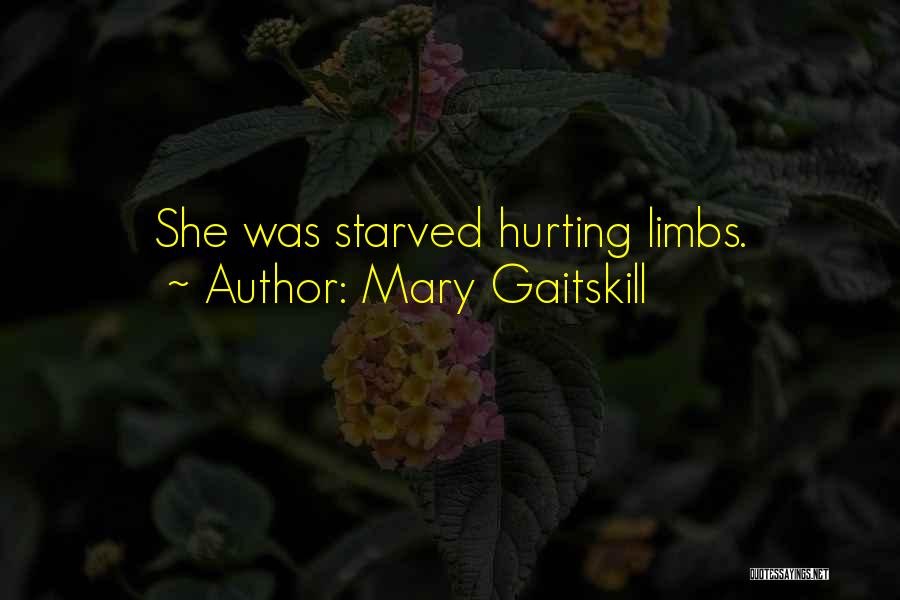 Mary Gaitskill Quotes 1542481