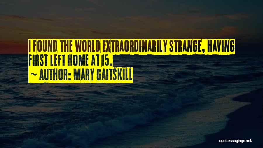Mary Gaitskill Quotes 1670873