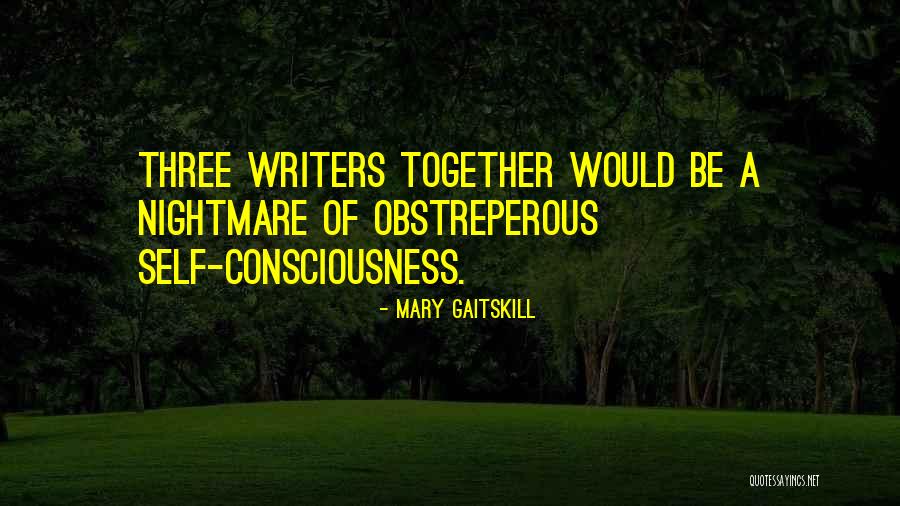 Mary Gaitskill Quotes 1822235