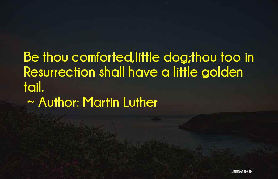 Mary Gaudron Quotes By Martin Luther