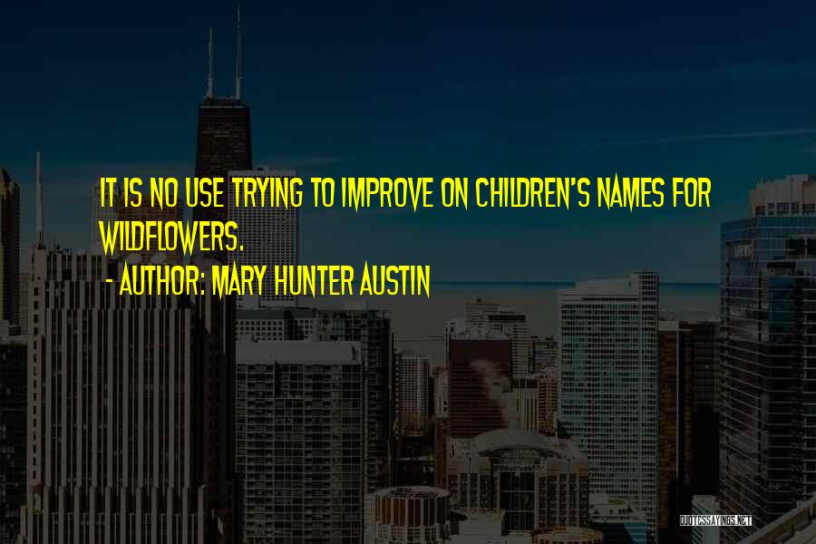 Mary Hunter Austin Quotes 572486