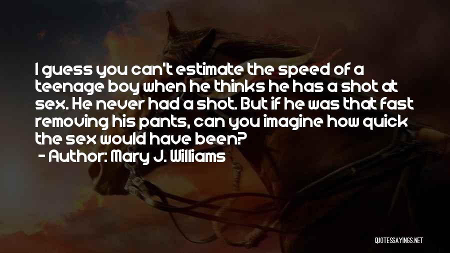 Mary J. Williams Quotes 914593