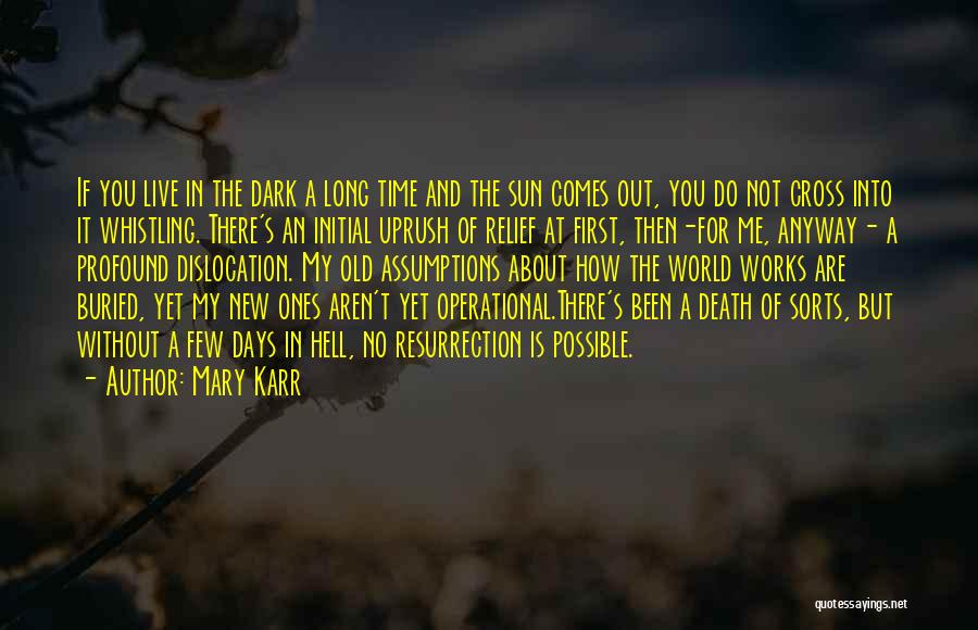 Mary Karr Quotes 1557024