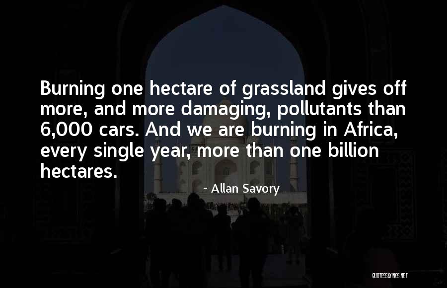 Mary Kate Danaher Quotes By Allan Savory Mary Kate Danaher Quotes By Allan Savory
