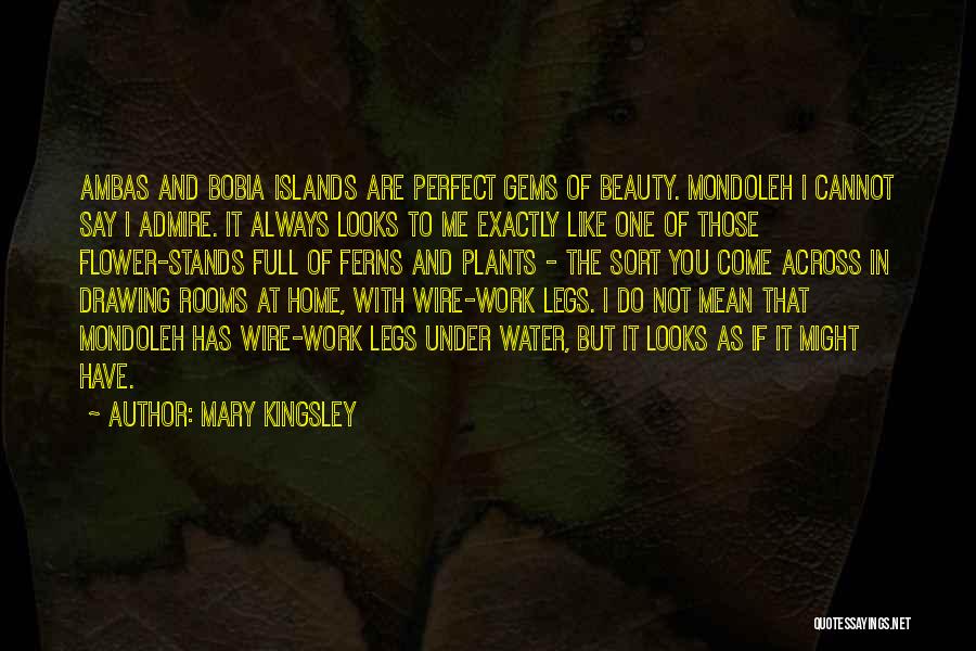 Mary Kingsley Quotes 1697808