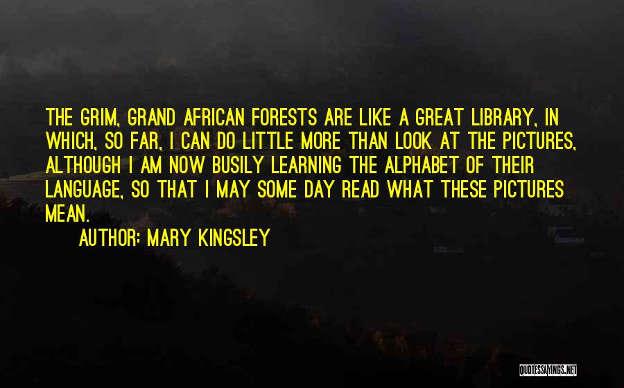 Mary Kingsley Quotes 1860262