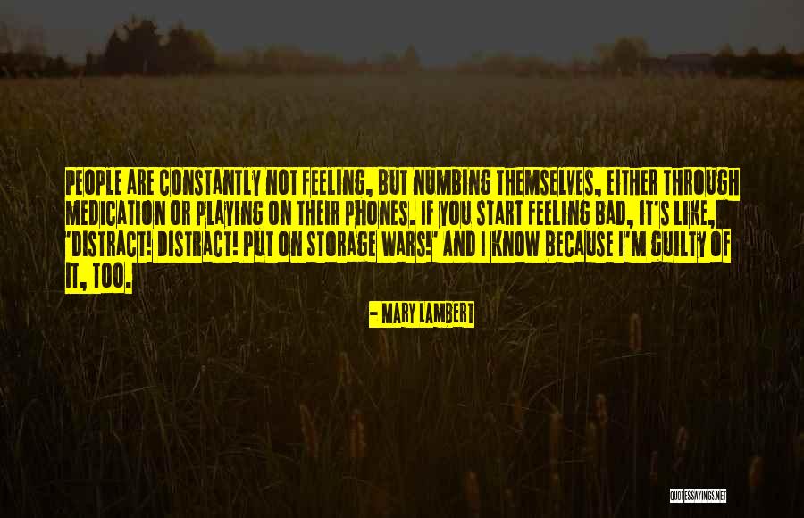Mary Lambert Quotes 2245263 Mary Lambert Quotes 2245263