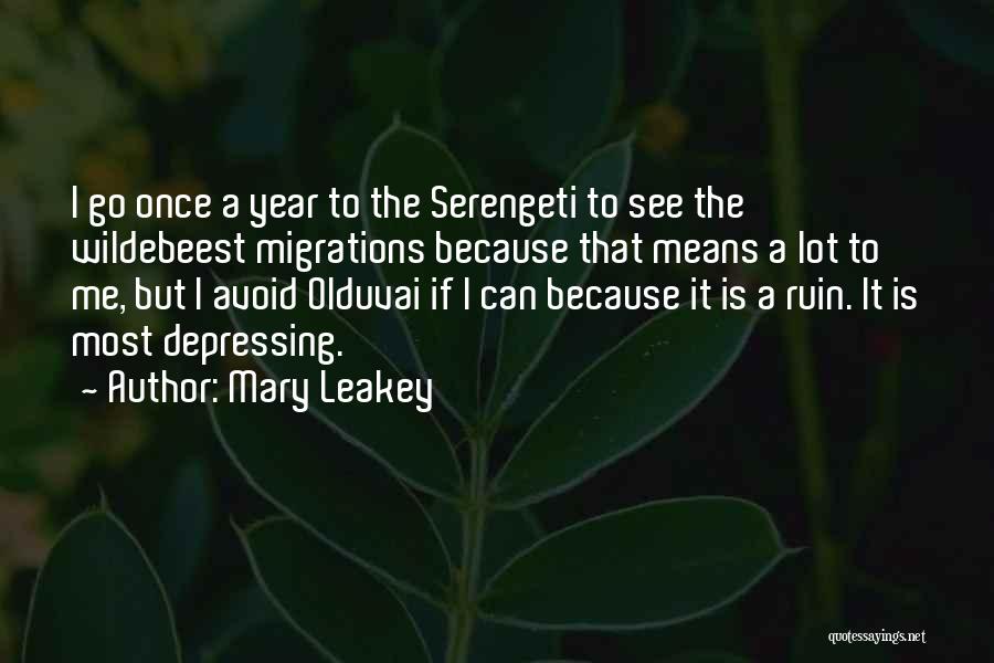 Mary Leakey Quotes 1521281