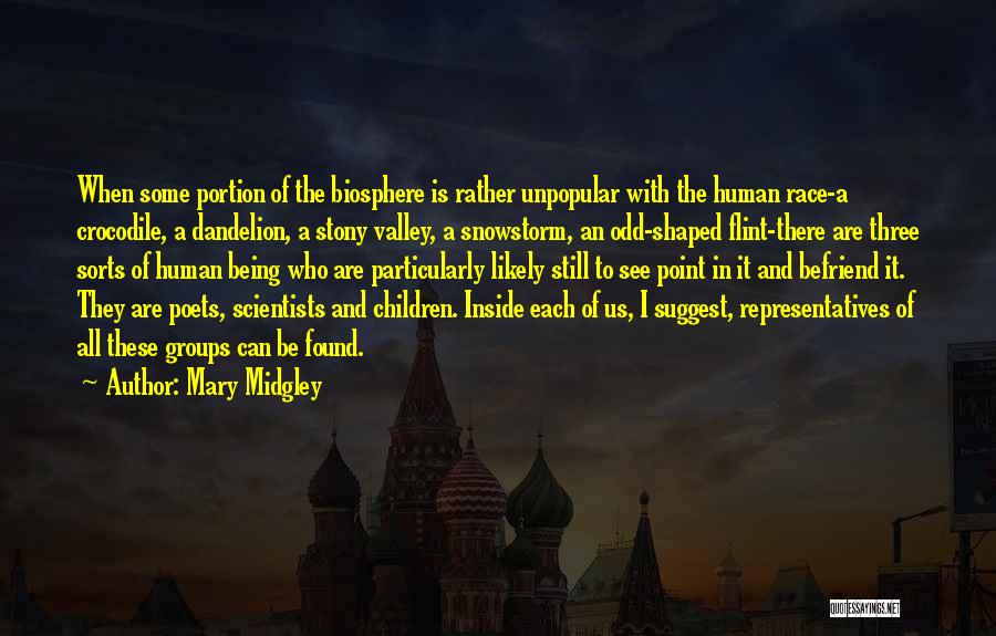 Mary Midgley Quotes 447608