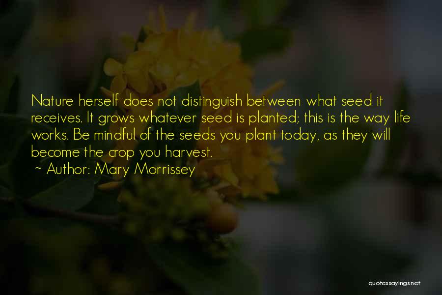 Mary Morrissey Quotes 2101352