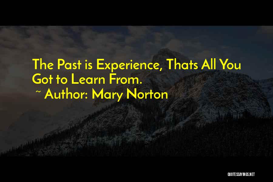 Mary Norton Quotes 1319423