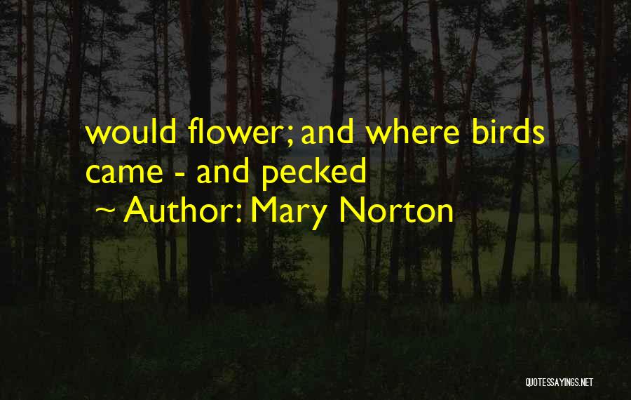 Mary Norton Quotes 1500419