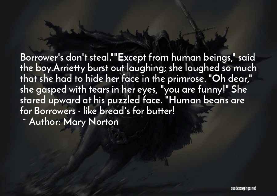 Mary Norton Quotes 1859002