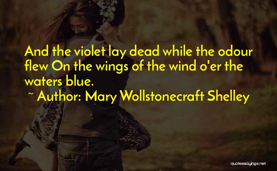 Mary O'connor Quotes By Mary Wollstonecraft Shelley