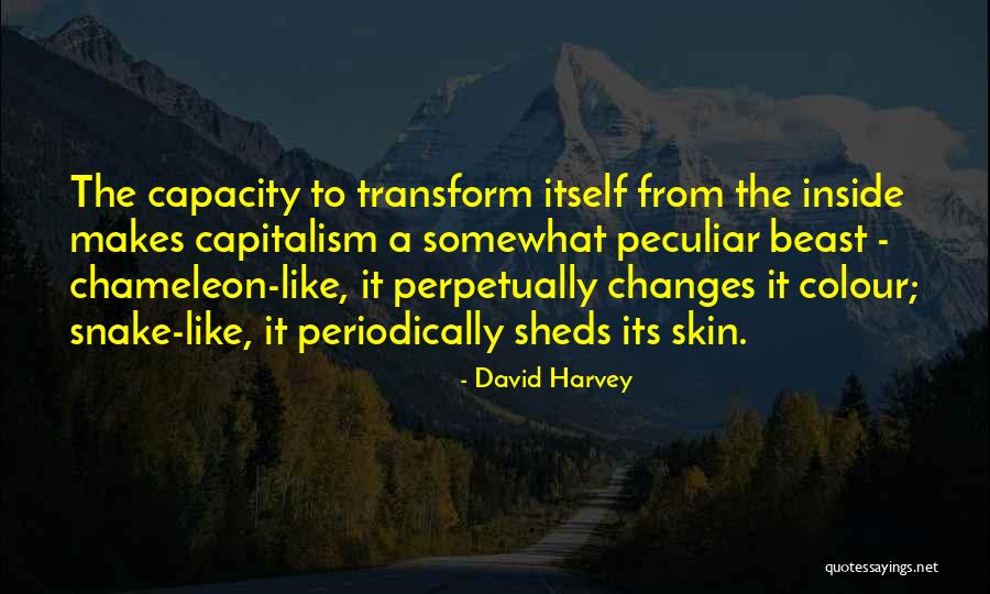 Mary Oliver Fern Quotes By David Harvey Mary Oliver Fern Quotes By David Harvey