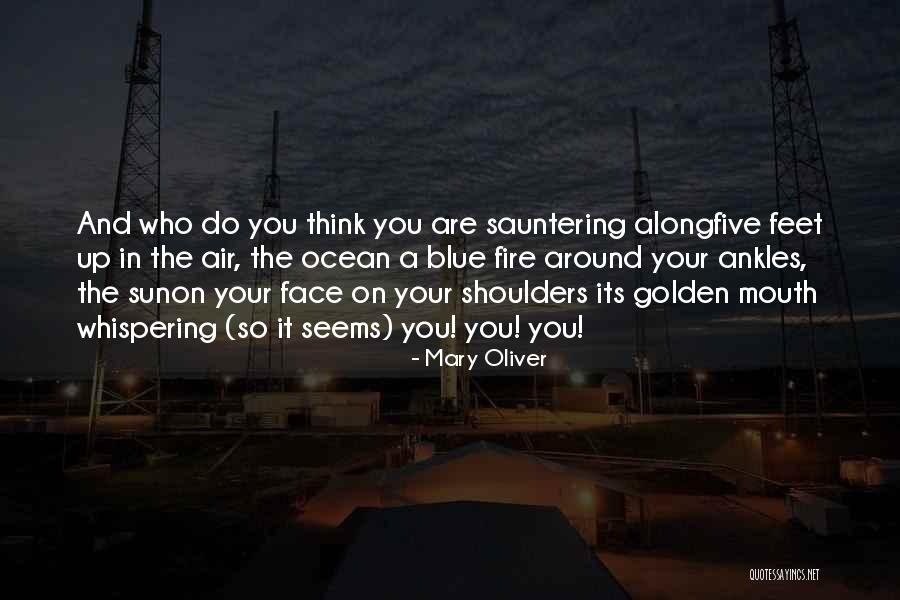 Mary Oliver Quotes 1102081