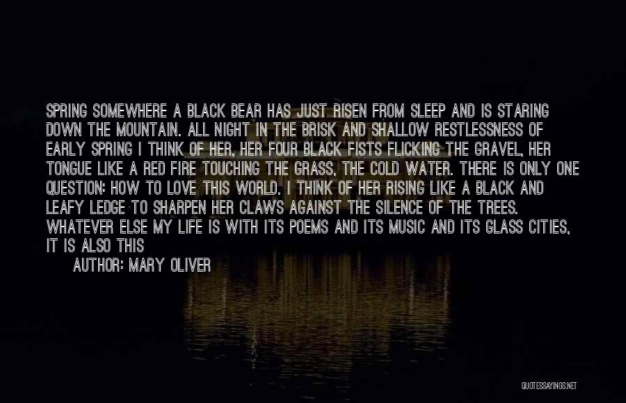 Mary Oliver Quotes 1128985