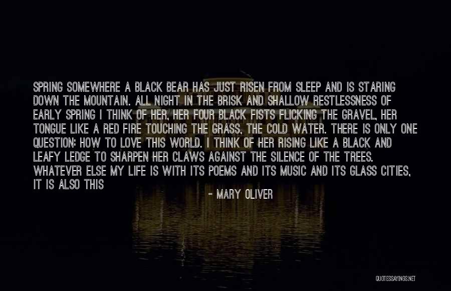 Mary Oliver Quotes 1128985