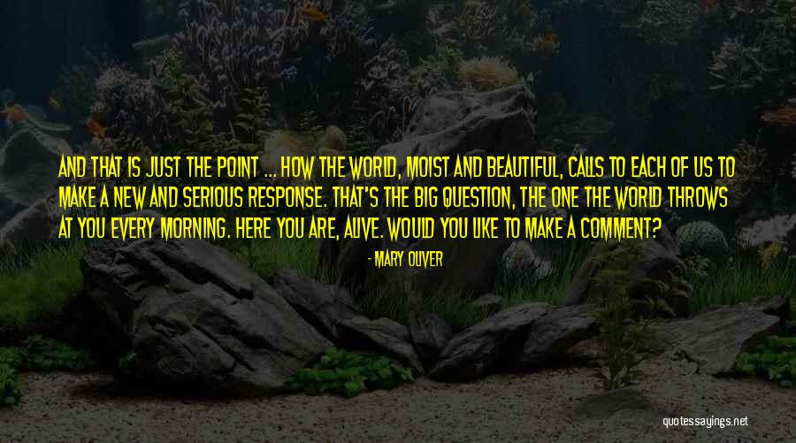 Mary Oliver Quotes 1468540