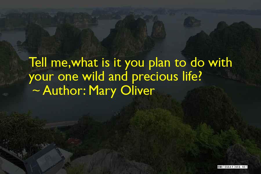 Mary Oliver Quotes 1624986