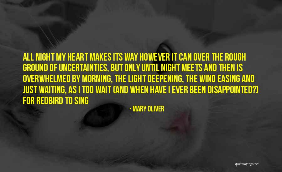 Mary Oliver Quotes 163490