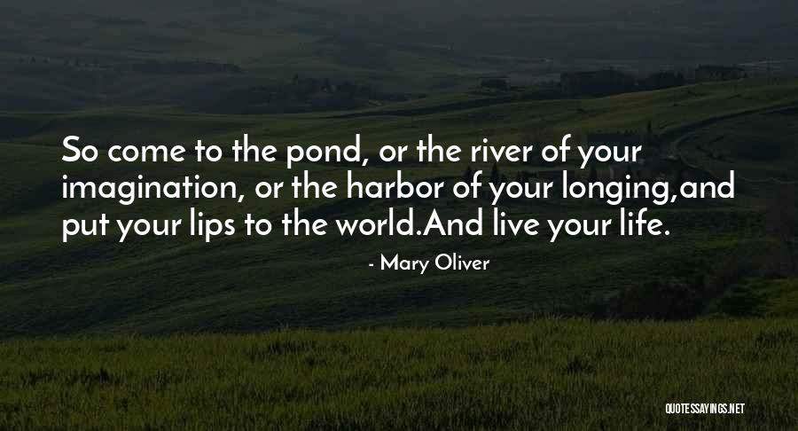 Mary Oliver Quotes 1689713