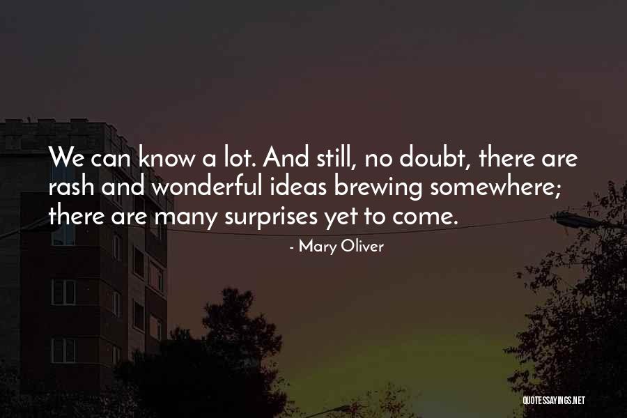 Mary Oliver Quotes 1945305