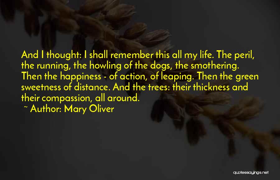 Mary Oliver Quotes 2208970