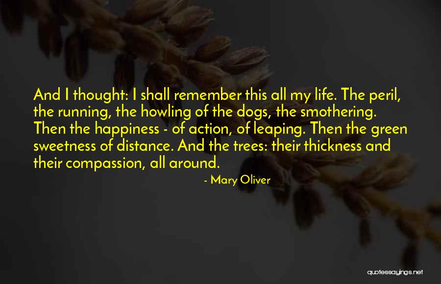 Mary Oliver Quotes 2208970