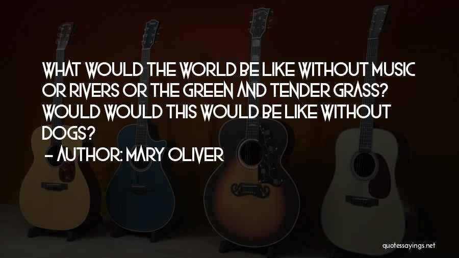 Mary Oliver Quotes 336563