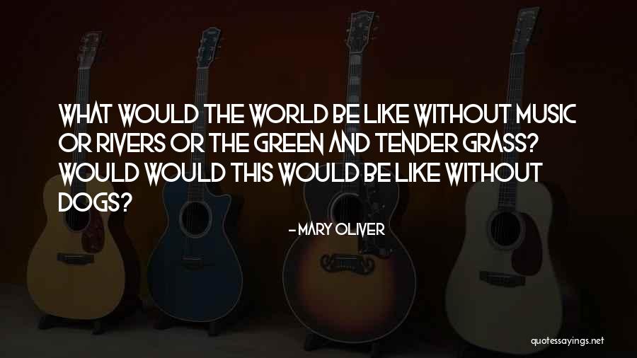 Mary Oliver Quotes 336563