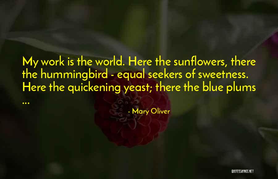 Mary Oliver Quotes 595674