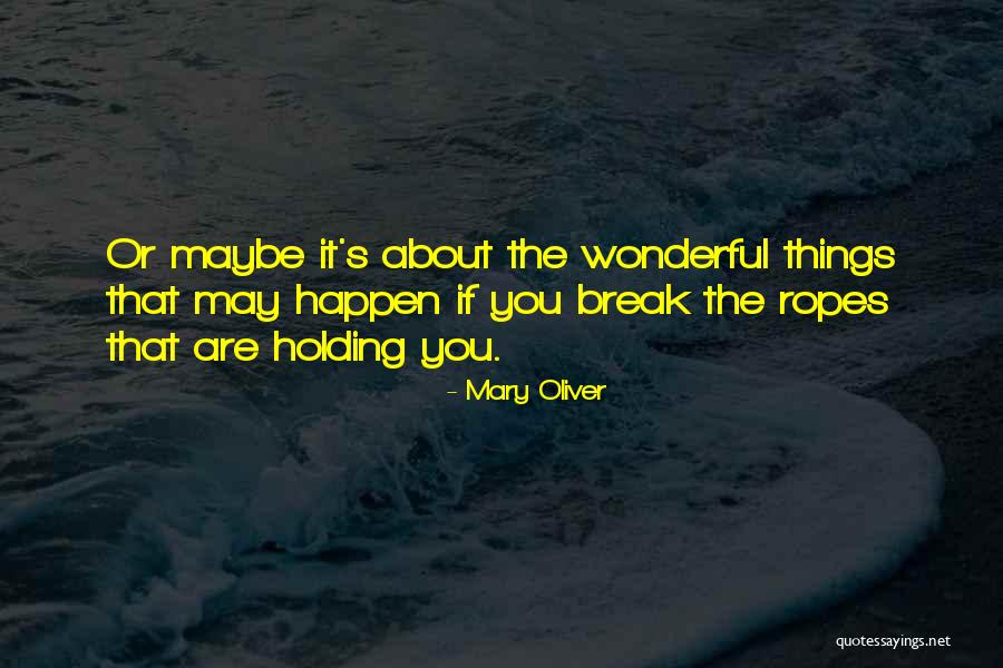 Mary Oliver Quotes 96606