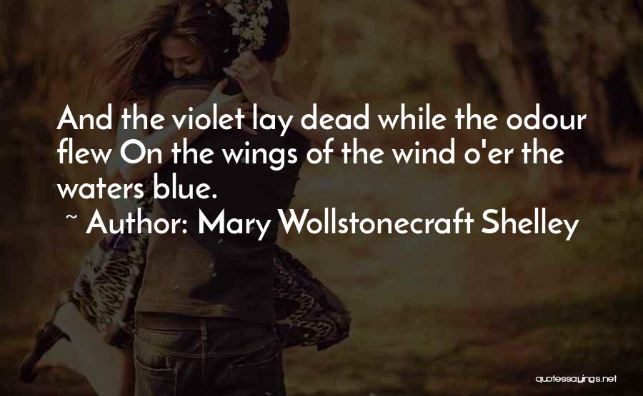 Mary O'rourke Quotes By Mary Wollstonecraft Shelley