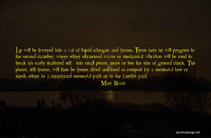 Mary Roach Quotes 1736194