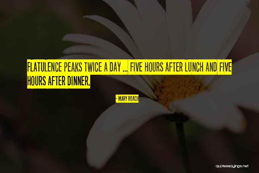 Mary Roach Quotes 1842100 Mary Roach Quotes 1842100