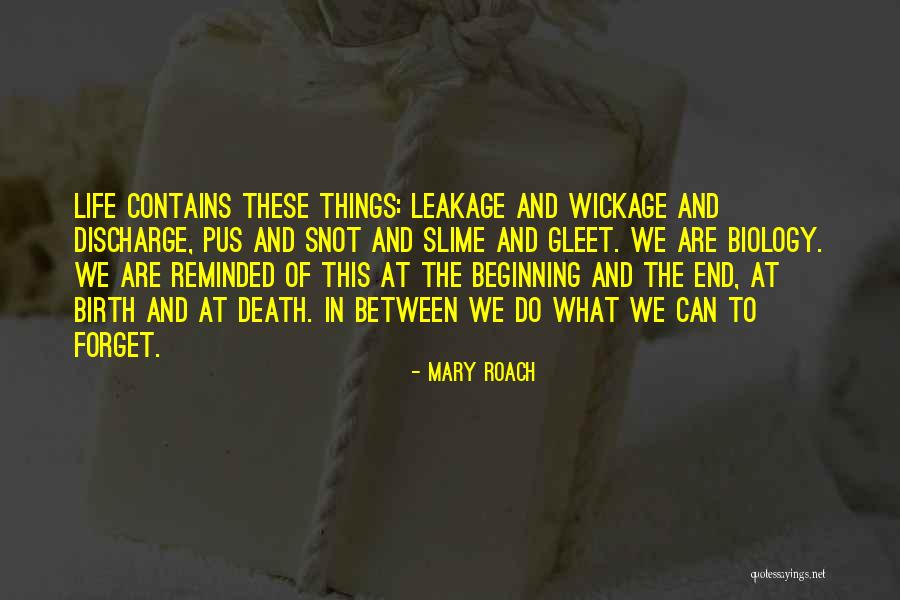 Mary Roach Quotes 1975342 Mary Roach Quotes 1975342