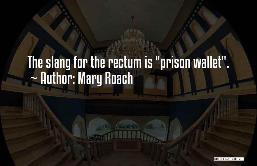 Mary Roach Quotes 211697