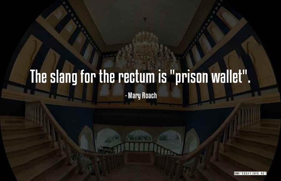 Mary Roach Quotes 211697 Mary Roach Quotes 211697