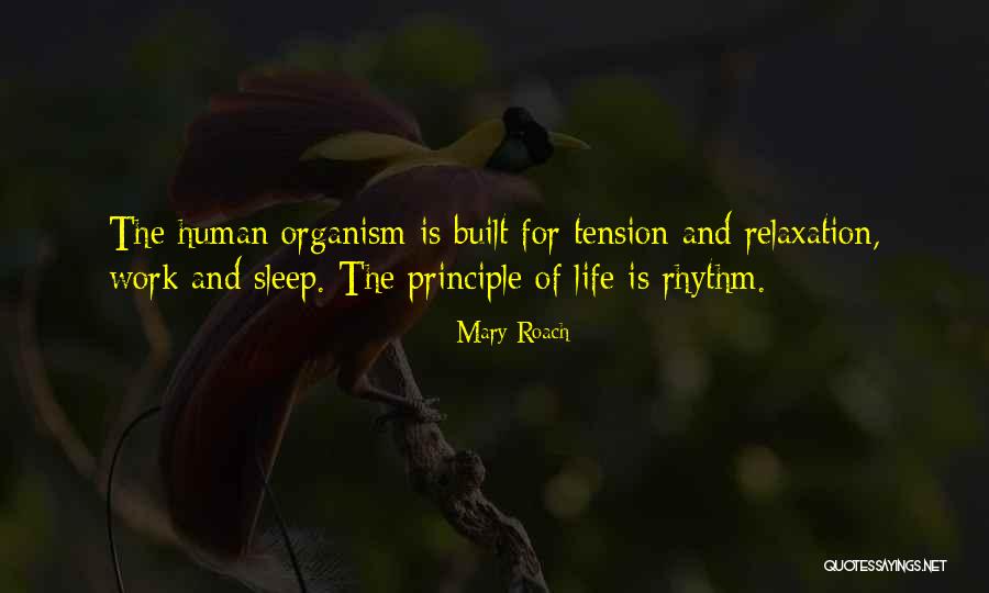 Mary Roach Quotes 461598 Mary Roach Quotes 461598