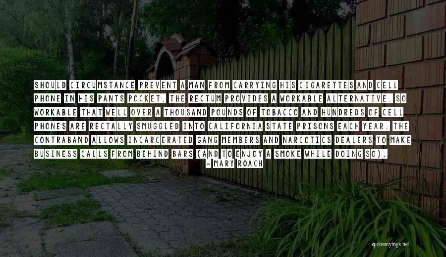 Mary Roach Quotes 955781 Mary Roach Quotes 955781