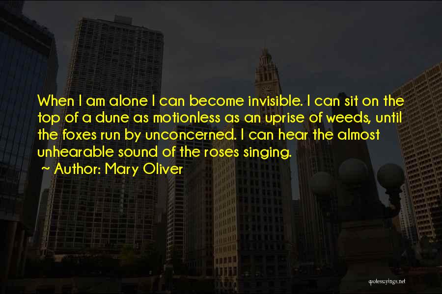 Mary Rose O'reilly Quotes By Mary Oliver