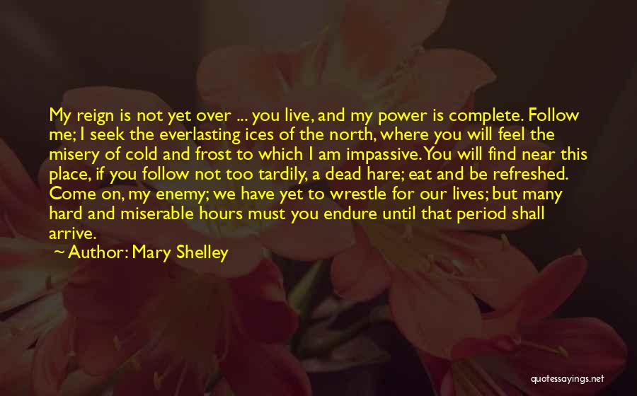 Mary Shelley Frankenstein Quotes By Mary Shelley