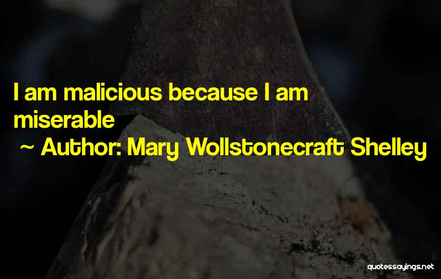Mary Shelley Frankenstein Quotes By Mary Wollstonecraft Shelley