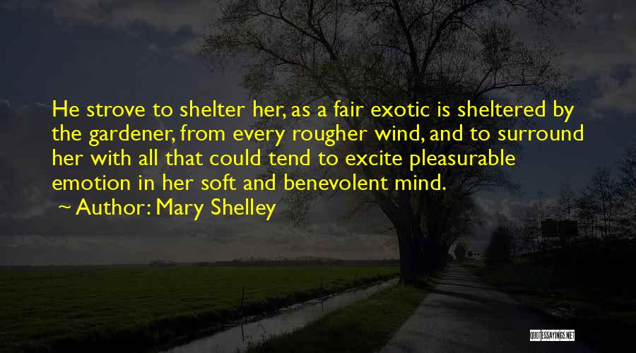 Mary Shelley Quotes 1356828