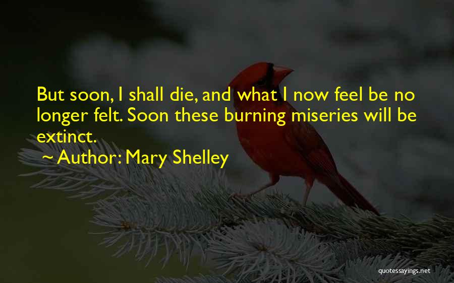 Mary Shelley Quotes 1640914