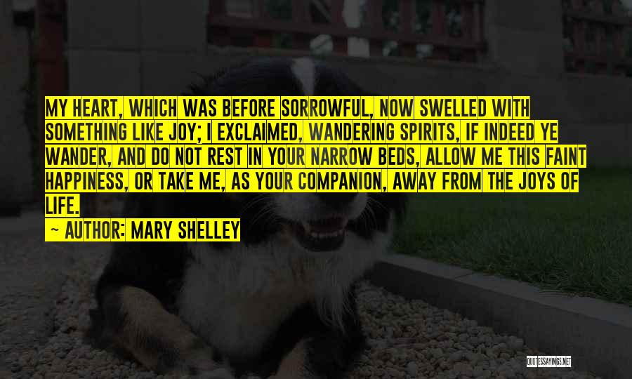 Mary Shelley Quotes 2011504