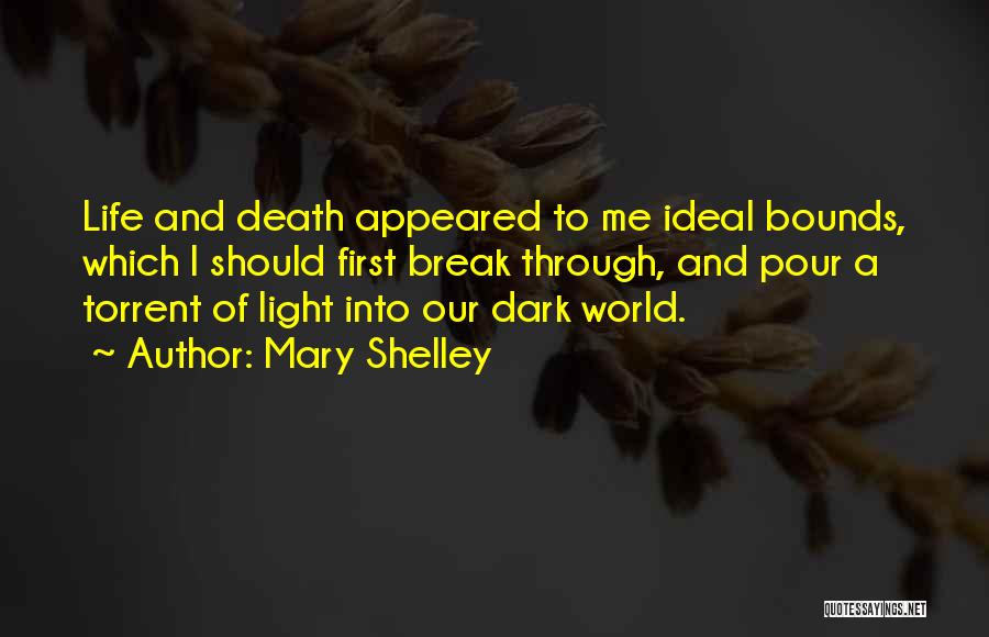 Mary Shelley Quotes 538042