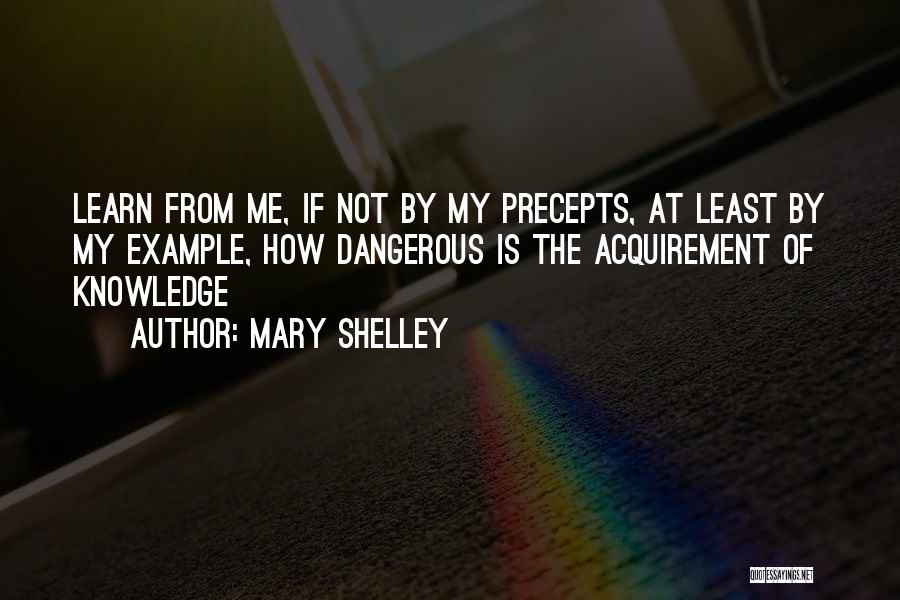 Mary Shelley Quotes 807933